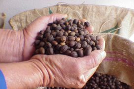 Como a Metalúrgica Átila atende a demanda de peças fundidas para a indústria alimentícia
