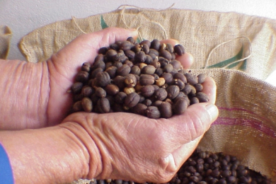 Como a Metalúrgica Átila atende a demanda de peças fundidas para a indústria alimentícia